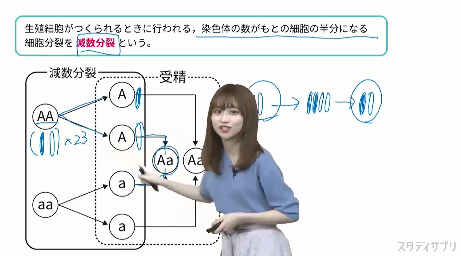 スタディサプリ理科講師 藤白りりの経歴や評判は無料で授業を受け